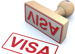 Visa Issuance