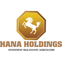 logo-hana-holdings.png