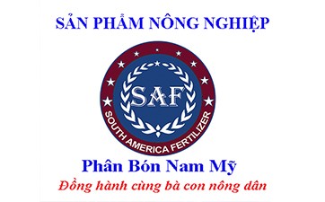 NAM MỸ