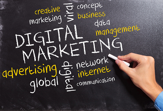 Thực tập sinh Digital Marketing (Marketing Online)